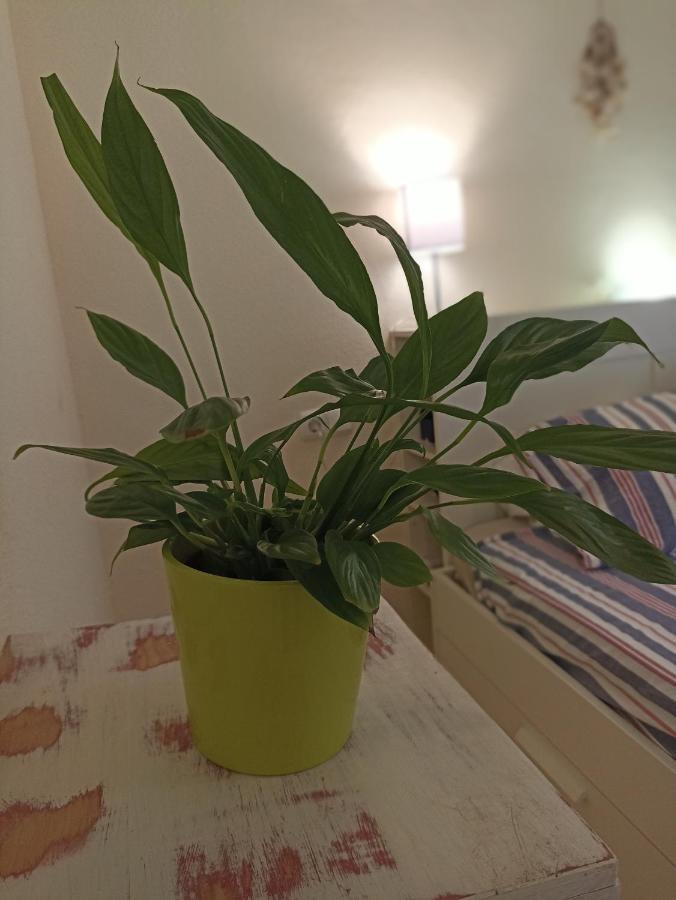 Confortable Habitacion Centrica En Piso Privado Apartment มาลากา ภายนอก รูปภาพ