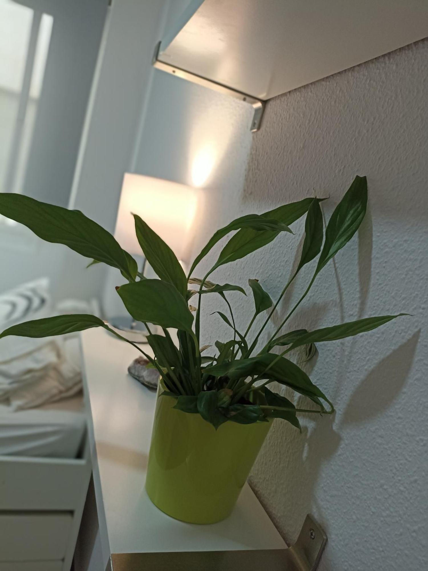 Confortable Habitacion Centrica En Piso Privado Apartment มาลากา ภายนอก รูปภาพ